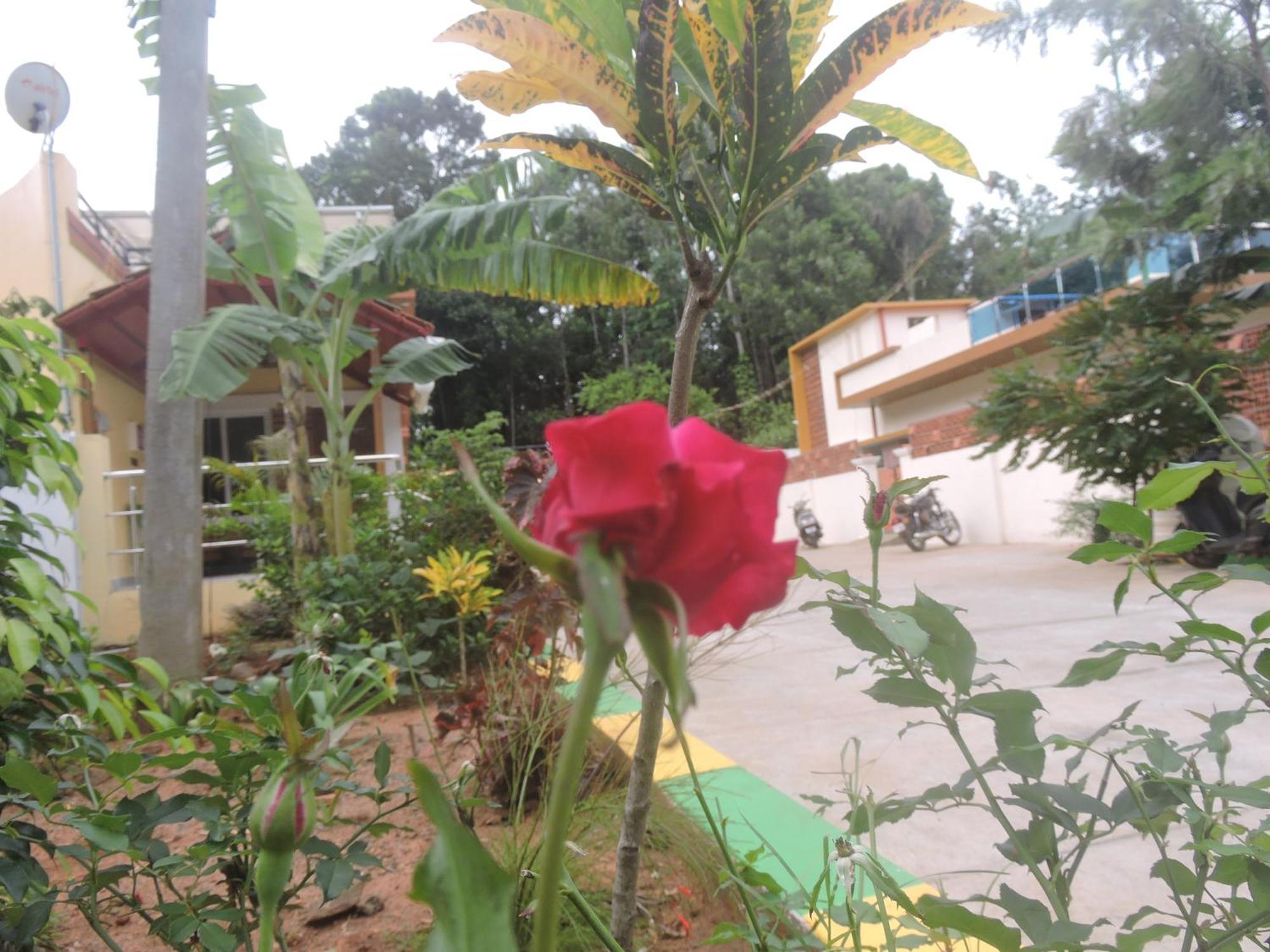 Kanna Garden By Bodhi * Kolli Hills